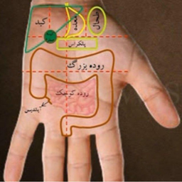 طب سنتی در مشهد