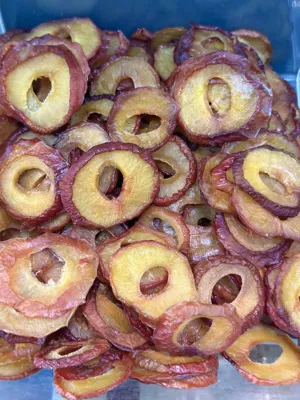 شابلون‌خشک