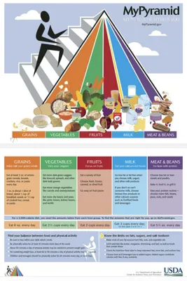 رژیم لاغری در ساری