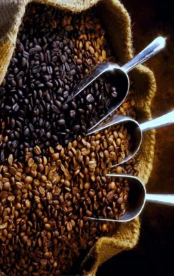 پخش عمده قهوه در سراسر ایران