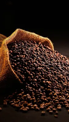 پخش عمده قهوه در سراسر ایران