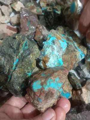 با مدیریت آقای حامد جعفری