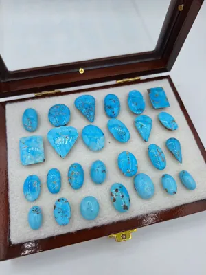 با مدیریت آقای حامد جعفری