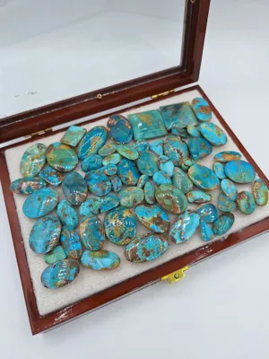 با مدیریت آقای حامد جعفری