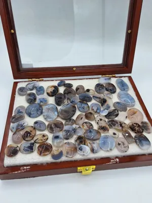 با مدیریت آقای حامد جعفری