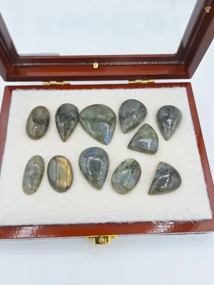 با مدیریت آقای حامد جعفری