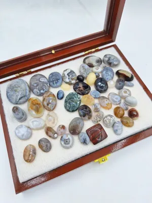 با مدیریت آقای حامد جعفری