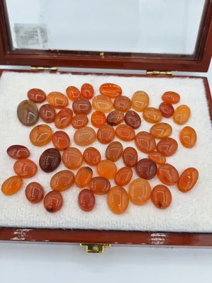 با مدیریت آقای حامد جعفری