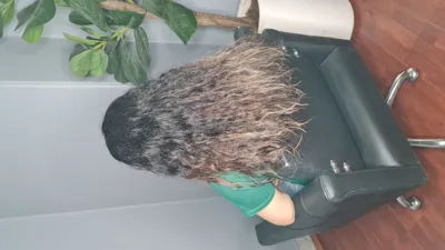 احیا مو آسیب دیده تهرانپارس