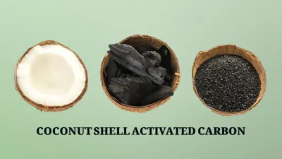 فحم نشط من قشر الجوز الهند