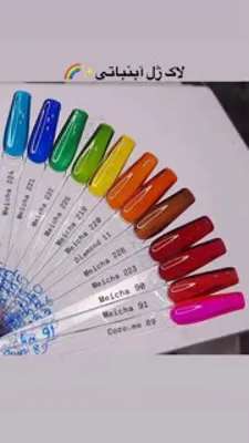 گالری ساچلی