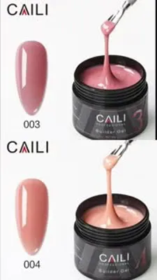 گالری ساچلی