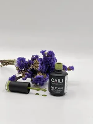 گالری ساچلی