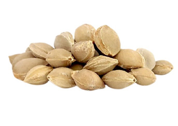 علی فردوسیان