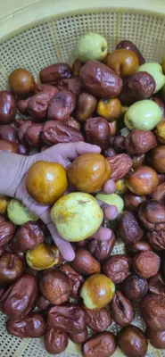 قیمت عناب گلابی