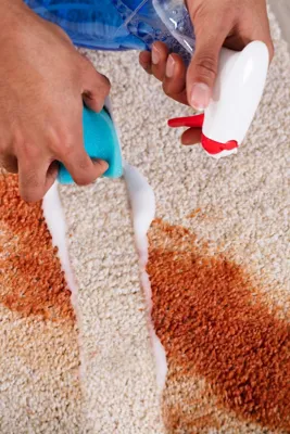 قالیشویی گل ابریشم بوشهر