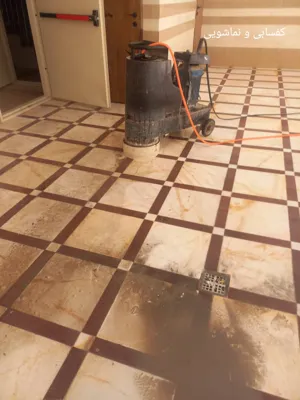 خدمات حرفه ای کفسابی و نماشویی&nbsp;