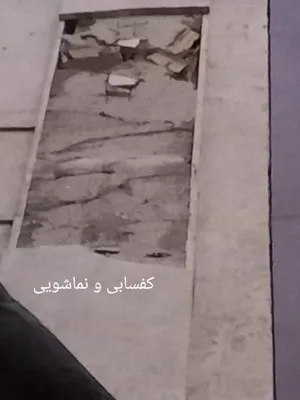 خدمات حرفه ای کفسابی و نماشویی&nbsp;