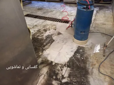 خدمات حرفه ای کفسابی و نماشویی&nbsp;