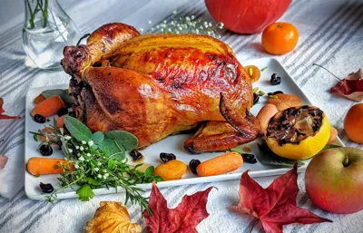 فست فود در خانه اصفهان.مرغ شکم پر در اصفهان