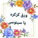نصب و پوشش سقف و نمای سوله