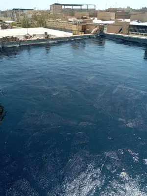 ایزوگام آرین