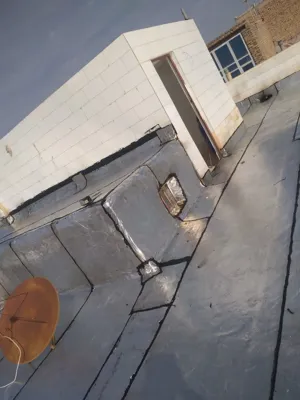 ایزوگام آرین