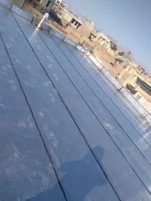 ایزوگام آرین