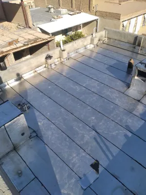 ایزوگام آرین