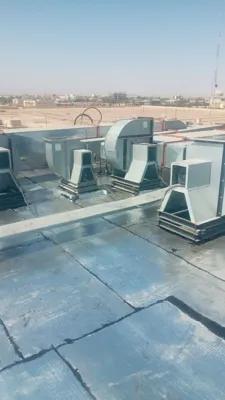 ایزوگام آرین