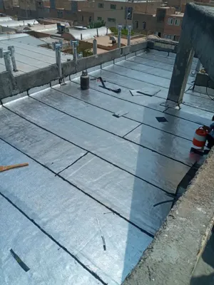 ایزوگام آرین