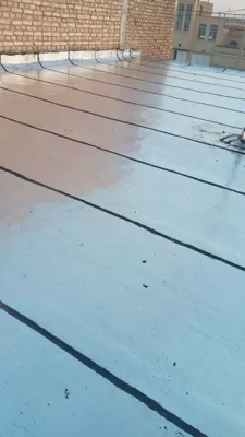 ایزوگام آرین