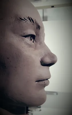 نام اثر: سریس&nbsp; متریال: سرامیک&nbsp; ابعاد: اندازه طبیعی