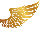 پشتیبانی تضمینی