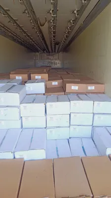 خدمات بازرگانی ترخیص کالا