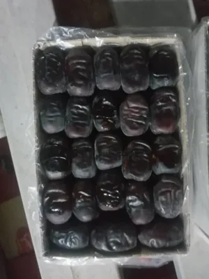 صادرات خرما&nbsp;