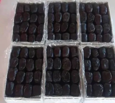 صادرات خرما