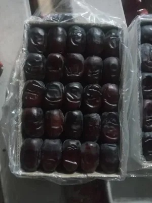 صادرات خرما