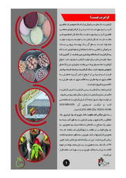 قیمت و خرید بلوک لیکا