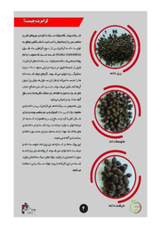 قیمت و خرید بلوک لیکا