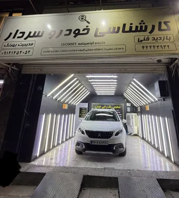 تشخیص رنگ خودرو سردار