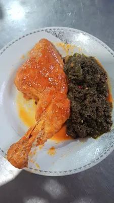 مرغ شکم پر&nbsp;