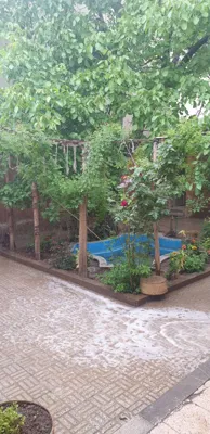 آموزشگاه موسیقی در شهرکرد