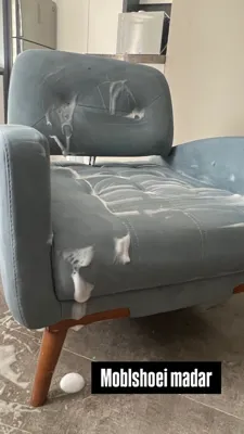 مبل شویی در کرج