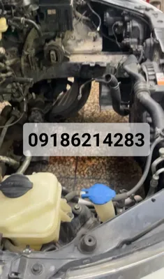 امداد هیوندا در کنگاور