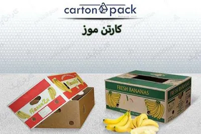 کارتنسازی در اصفهان
