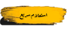 حسام الدین نصیری