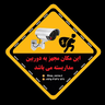 بهترین دوربین مداربسته تهران