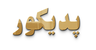 خدمات تخصصی پدیکور