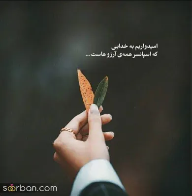 زهرا سپاهی&nbsp;